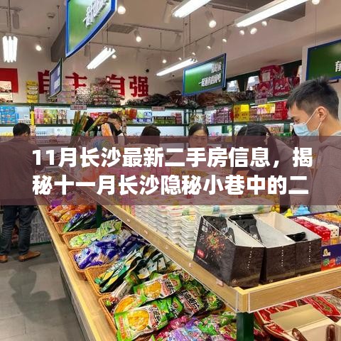揭秘长沙隐秘小巷的二手房新动态与独特小店，十一月最新二手房信息及独家发现