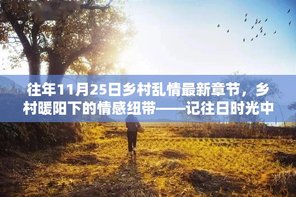 乡村暖阳下的情感纽带，往日温馨日常的乱情记录