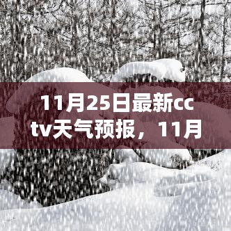 CCTV天气预报解析，天气预测的重要性及其影响，以XX观点深入探讨（11月25日最新）
