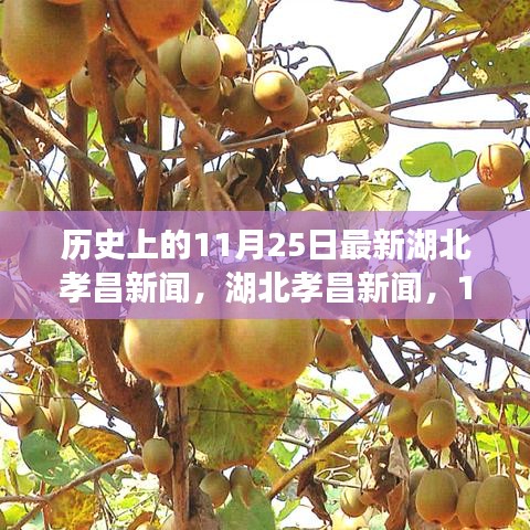 湖北孝昌新闻回顾，自然探索之旅与心灵宁静的微笑之旅（11月25日）