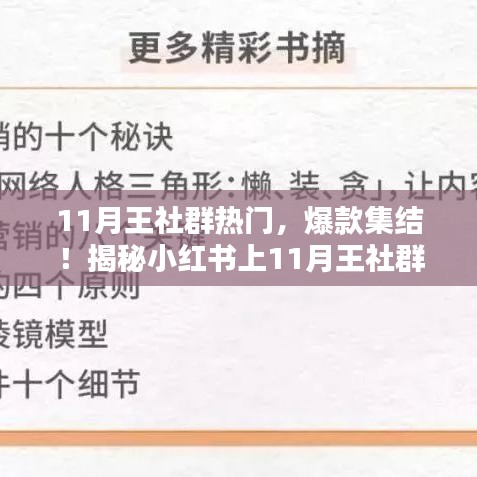 揭秘小红书11月王社群热点，爆款集结，不容错过！