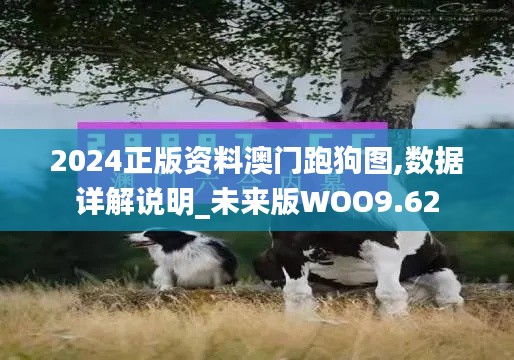 破衲疏羹 第5页
