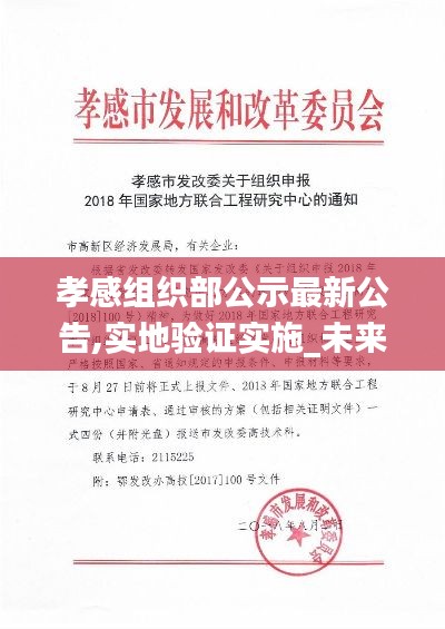 孝感组织部公示最新公告,实地验证实施_未来科技版UFX9.1