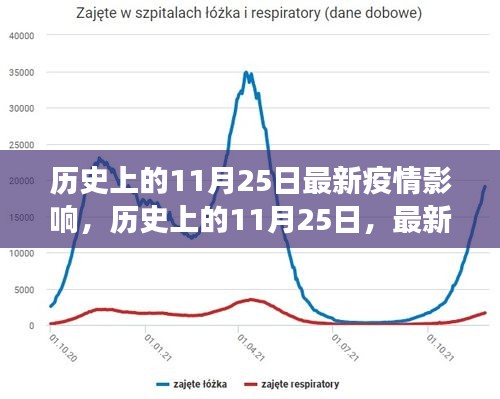 历史上的11月25日疫情深度回顾与影响洞察，最新疫情回顾与深度解析
