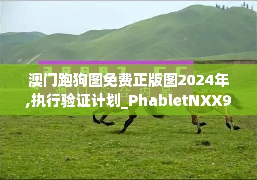 澳门跑狗图免费正版图2024年,执行验证计划_PhabletNXX9.67