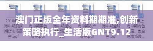 澳门正版全年资料期期准,创新策略执行_生活版GNT9.12