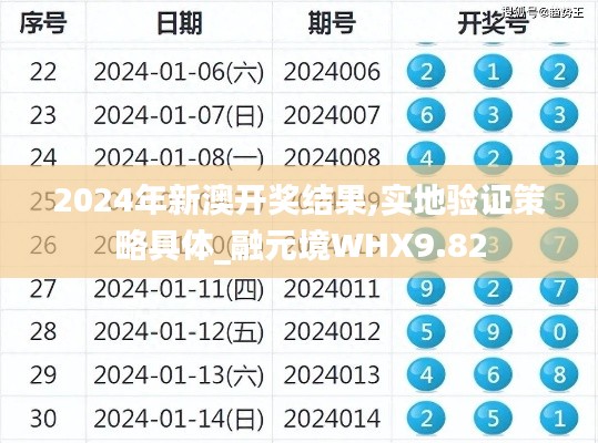 2024年新澳开奖结果,实地验证策略具体_融元境WHX9.82
