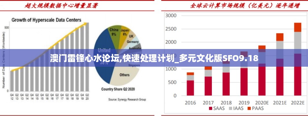 澳门雷锋心水论坛,快速处理计划_多元文化版SFO9.18