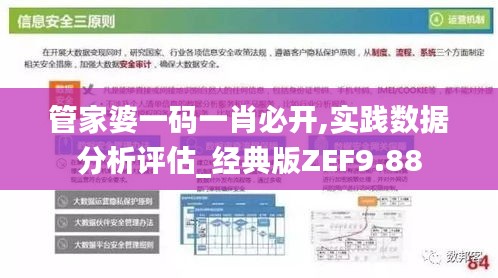 管家婆一码一肖必开,实践数据分析评估_经典版ZEF9.88