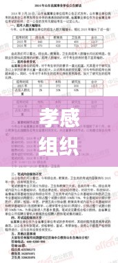 孝感组织部公示最新公告,现况评判解释说法_原创版ZEJ9.76