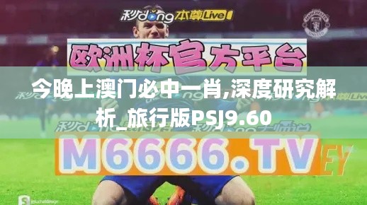 今晚上澳门必中一肖,深度研究解析_旅行版PSJ9.60