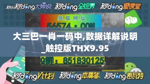 大三巴一肖一码中,数据详解说明_触控版THX9.95