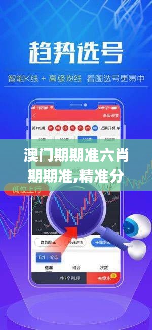 澳门期期准六肖期期准,精准分析实践_网络版ING9.92