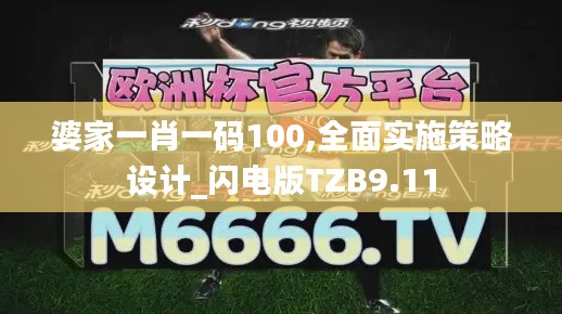 婆家一肖一码100,全面实施策略设计_闪电版TZB9.11