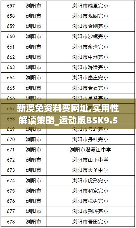 新澳免资料费网址,实用性解读策略_运动版BSK9.5