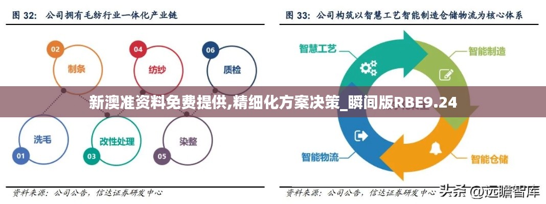 新澳准资料免费提供,精细化方案决策_瞬间版RBE9.24