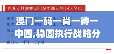 澳门一码一肖一待一中四,稳固执行战略分析_影像处理版BEK9.62