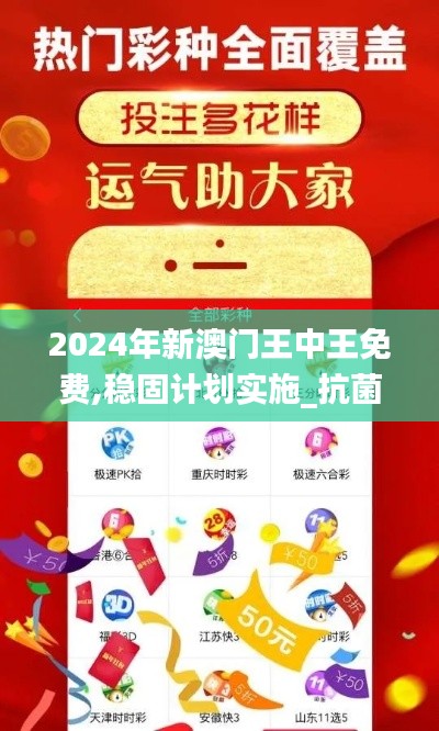 2024年新澳门王中王免费,稳固计划实施_抗菌版QMH9.64