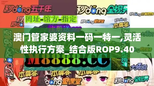 澳门管家婆资料一码一特一,灵活性执行方案_结合版ROP9.40