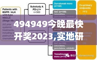 494949今晚最快开奖2023,实地研究解答协助_复古版ICC9.45