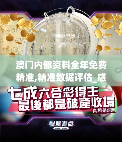 澳门内部资料全年免费精准,精准数据评估_感知版VQM9.86