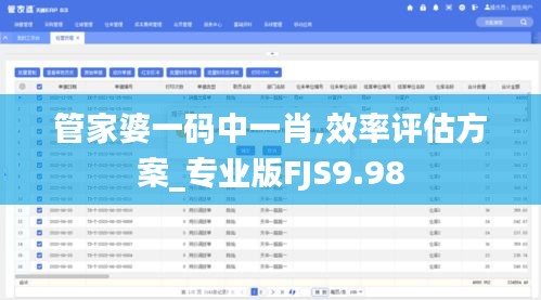管家婆一码中一肖,效率评估方案_专业版FJS9.98