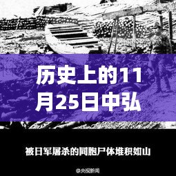 探秘中弘股份背后的故事，历史视角下的独特风味与最新动态（11月25日更新）