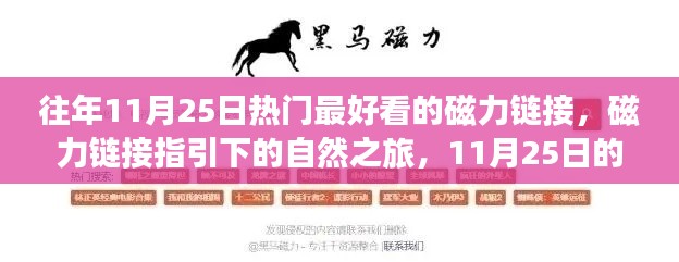 11月25日磁力链接指引下的自然与心灵之旅