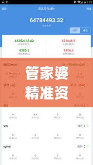 管家婆精准资料免费大全香港,完善实施计划_家居版QWO9.12