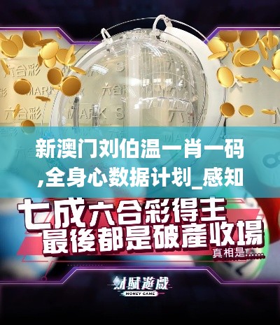 新澳门刘伯温一肖一码,全身心数据计划_感知版CSV9.56