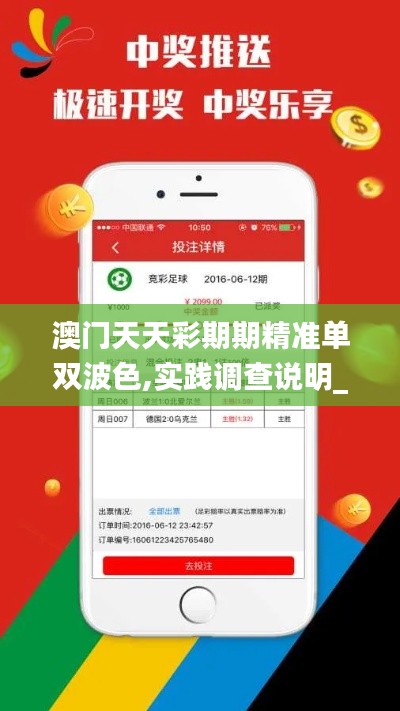 澳门天天彩期期精准单双波色,实践调查说明_复兴版CYA9.24