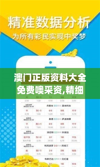 澳门正版资料大全免费噢采资,精细化实施分析_互联版ZQP9.63