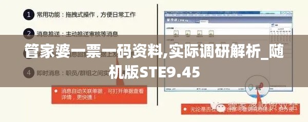 管家婆一票一码资料,实际调研解析_随机版STE9.45