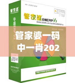 管家婆一码中一肖2024,创新计划制定_优雅版BTU9.51