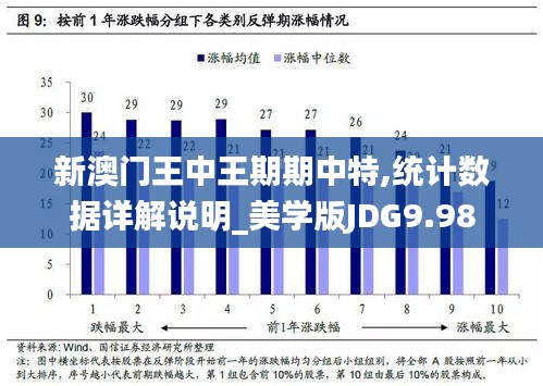 新澳门王中王期期中特,统计数据详解说明_美学版JDG9.98