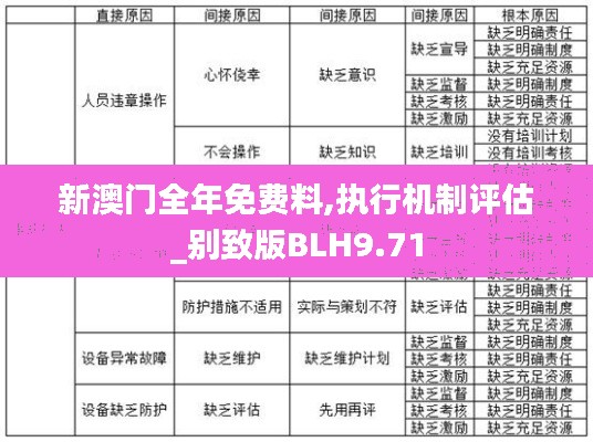 新澳门全年免费料,执行机制评估_别致版BLH9.71