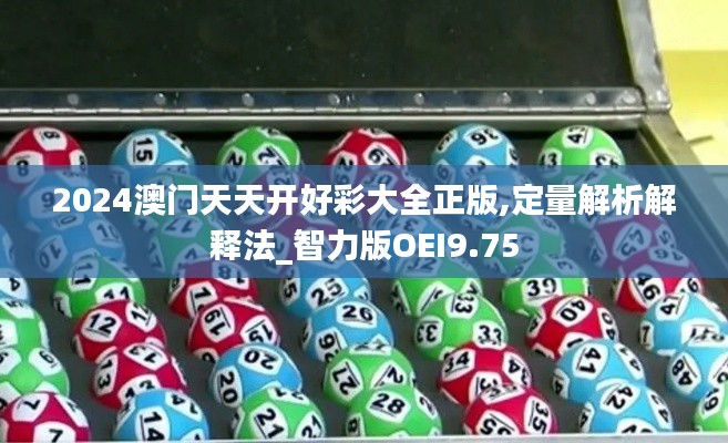 2024澳门天天开好彩大全正版,定量解析解释法_智力版OEI9.75
