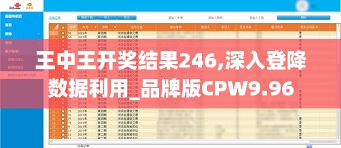 王中王开奖结果246,深入登降数据利用_品牌版CPW9.96