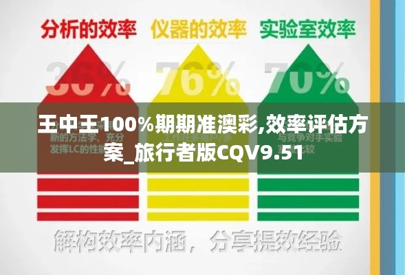 王中王100%期期准澳彩,效率评估方案_旅行者版CQV9.51