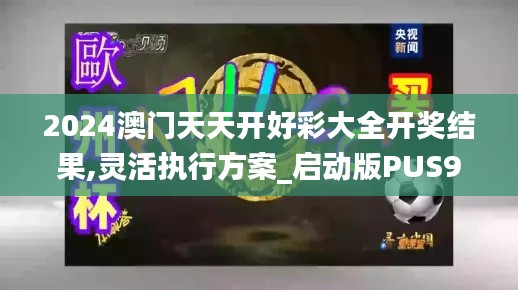 2024澳门天天开好彩大全开奖结果,灵活执行方案_启动版PUS9.43