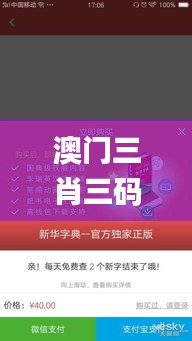 澳门三肖三码精准100%新华字典,数据引导设计方法_资源版NYD9.13