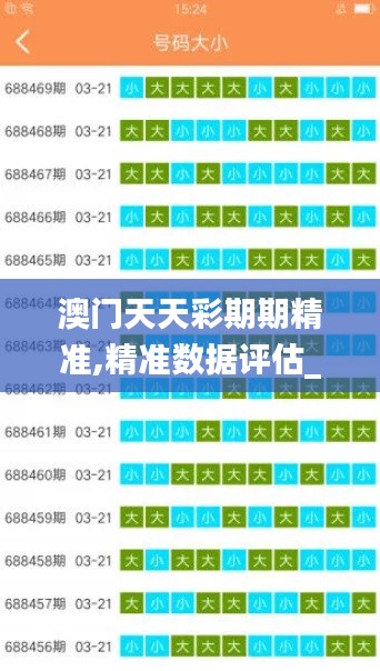 澳门天天彩期期精准,精准数据评估_拍照版IEH9.50