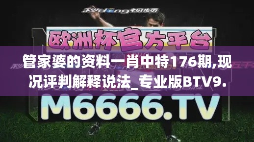 管家婆的资料一肖中特176期,现况评判解释说法_专业版BTV9.3