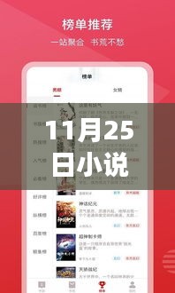 11月25日小说互换热门，科技盛宴，全新智能小说阅读器——小说互换热门，革新阅读体验