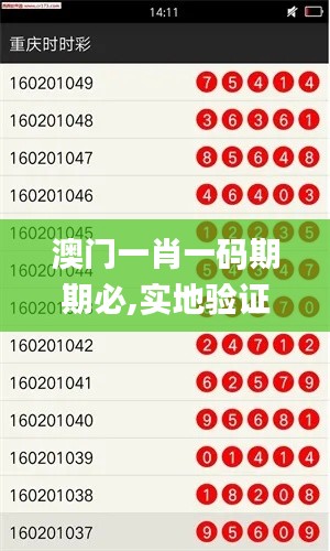 澳门一肖一码期期必,实地验证实施_触感版DCG9.33