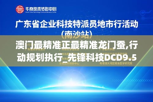 澳门最精准正最精准龙门蚕,行动规划执行_先锋科技DCD9.59
