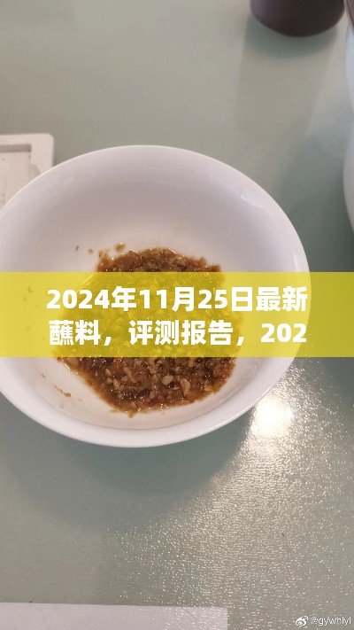 2024年最新蘸料评测报告，全面解析与深度体验
