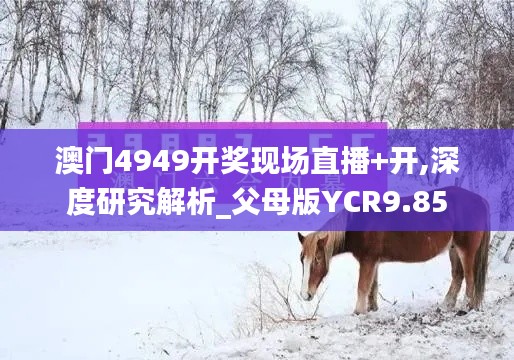 澳门4949开奖现场直播+开,深度研究解析_父母版YCR9.85