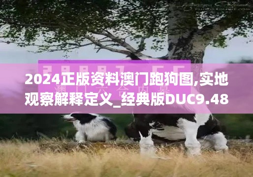 2024正版资料澳门跑狗图,实地观察解释定义_经典版DUC9.48