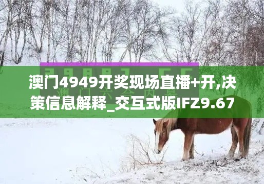 澳门4949开奖现场直播+开,决策信息解释_交互式版IFZ9.67
